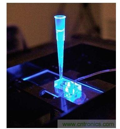加州柏克萊大學(xué)所開(kāi)發(fā)的“心臟單芯片”用以放置從成人干細(xì)胞產(chǎn)出的人類心臟組織，該系統(tǒng)有一天可望替代實(shí)驗(yàn)動(dòng)物應(yīng)用于藥物安全篩檢
