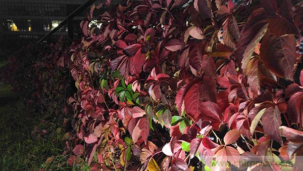 業界良心 LG V10 評測:剛毅、冷峻，不失人性化