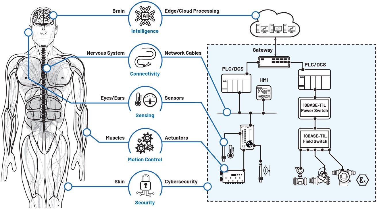 數字工廠成為現實:通過數字化轉型走向成功 數字工廠成為現實:通過數字化轉型走向成功